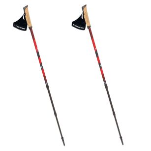 Kije do Nordic Walking VIKING Kube Pro + talerzyki